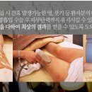 오직탄력의원 이미지