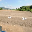 SK황금 공인중개사사무소 이미지