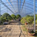 갑동농장 이미지