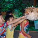 현대백화점중동점 이미지