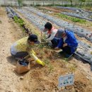 인천농장 이미지