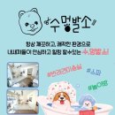 수멍발소 이미지