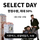 캣데이 이미지