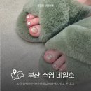 네일호 | 수영역 네일 패디아트 파우더네일 잘하는 네일호 후기