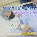 체인지자동차병원 | 7세 오목가슴 수술 후기 (입원ㆍ수술ㆍ퇴원 기록)