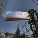 재현고등학교 | 2026 불암산 철쭉축제 실시간 후기｜서울 철쭉 명소 만개 주차 꿀팁 총정리