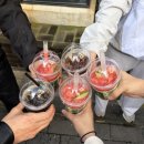 다락방 친구들 | [제주 친구네 다락방] 부캐 or 본캐