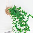 향남아이비어린이집 이미지