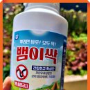 뱀 퇴치약 없이는 상상도 못할 우리집 텃밭 이야기