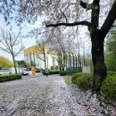 공항체육관 | 인천계양체육관 가는법 ✈️ | 대한항공 vs 현대캐피탈 챔피언결정전 마지막 경기 직관 후기 (26.4.10)