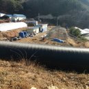나누리농원 Daum카페