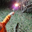 플러스원캠핑펜션 이미지