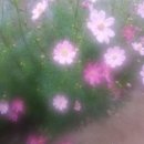 운학농장 이미지