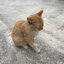 춘화농장 | 6월 셋째 주