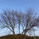 단석리산촌생태마을 이미지