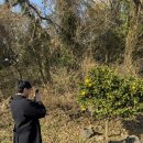 승호목장 이미지