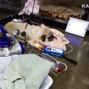 (주)우리사료 이미지