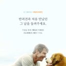 도그어게인 이미지