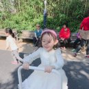 고추말공원 Daum카페
