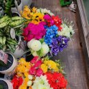 사동그린꽃 이미지