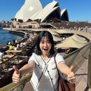 (주)피닉스월드 | 145. 시든이🇦🇺🐨🦘