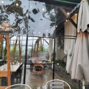 능이갈비탕능이삼계탕 이미지