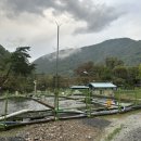 천동송어양식장횟집 | 내돈내산 찐 맛집 | 단양 송어회 맛집(천동송어양식장) &amp; 충주 쏘가리 매운탕(남벌횟집)