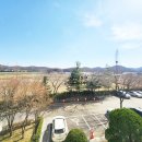 삼보부동산중개사무소 이미지