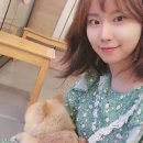 사랑받개 이미지