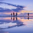 경주더숲관광농원 이미지