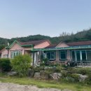 느티나무펜션민박 이미지