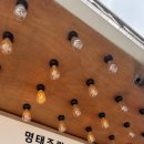 관저 명태촌 조치원점