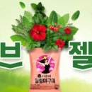 허브온미