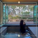 다담가 | 제주 서귀포 독채 펜션 신상 감성숙소 추천 다담가