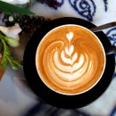 닥터랄랄라 이미지