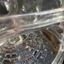 마루노리 | 원주)마루노리캠핑장글램핑