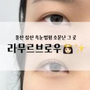 번영로 4 버스정류장 | 울산 삼산 라무르브로우에서 노글루 속눈썹펌 받고 온 후기