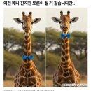 기린03-1 네이버블로그