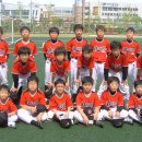 경베이스볼 이미지