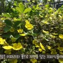 휴팩토리 이미지