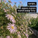 동락원