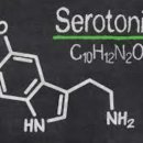피트니스 M 이미지