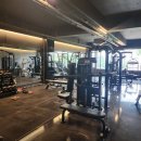 알브이디핏 PT | 영통헬스장, RVD PT 가격주차이벤트