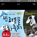 반려견 축제 이미지