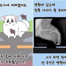 개st하우스 이미지