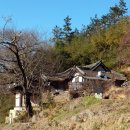 삼지재 이미지