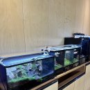 애니멀리움 이미지