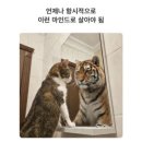 🏷️ • 4 月 두 번째 주머니