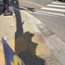 무장2리 마을회관 | 그늘이 필요해/ 섬마루초등학교/ 감사편지
