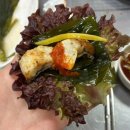 88수산 민물장어